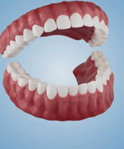 NESLEMY™-🦷Advanced Customized Full Denture Set