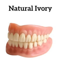 NESLEMY™-Advanced Full Denture Set