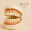 NESLEMY™ - Premium Denture