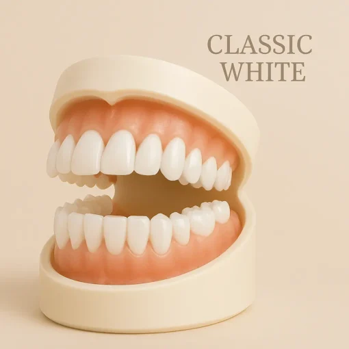 NESLEMY™ - Premium Denture