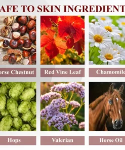 NESLEMY™ Horse Chestnut Arthritis Massage Cream