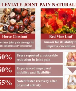 NESLEMY™ Horse Chestnut Arthritis Massage Cream