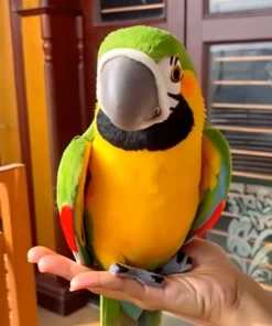 NESLEMY™ - Lifelike Parrot Buddy