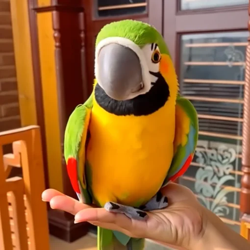 NESLEMY™ - Lifelike Parrot Buddy