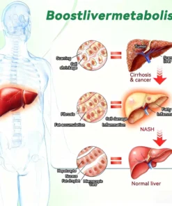 NESLEMY ®𝑴𝒐𝒓𝒊𝒏𝒈𝒂 & 𝑩𝒆𝒓𝒃𝒆𝒓𝒊𝒏𝒆 20-𝑰𝑵-1 𝑨𝒅𝒗𝒂𝒏𝒄𝒆𝒅 𝑵𝒂𝒏𝒐 𝑴𝒊𝒄𝒓𝒐𝒏𝒆𝒆𝒅𝒍𝒆 𝑷𝒂𝒕𝒄𝒉