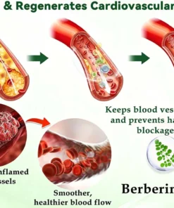 NESLEMY ®𝑴𝒐𝒓𝒊𝒏𝒈𝒂 & 𝑩𝒆𝒓𝒃𝒆𝒓𝒊𝒏𝒆 20-𝑰𝑵-1 𝑨𝒅𝒗𝒂𝒏𝒄𝒆𝒅 𝑵𝒂𝒏𝒐 𝑴𝒊𝒄𝒓𝒐𝒏𝒆𝒆𝒅𝒍𝒆 𝑷𝒂𝒕𝒄𝒉