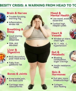 NESLEMY ®𝑴𝒐𝒓𝒊𝒏𝒈𝒂 & 𝑩𝒆𝒓𝒃𝒆𝒓𝒊𝒏𝒆 20-𝑰𝑵-1 𝑨𝒅𝒗𝒂𝒏𝒄𝒆𝒅 𝑵𝒂𝒏𝒐 𝑴𝒊𝒄𝒓𝒐𝒏𝒆𝒆𝒅𝒍𝒆 𝑷𝒂𝒕𝒄𝒉