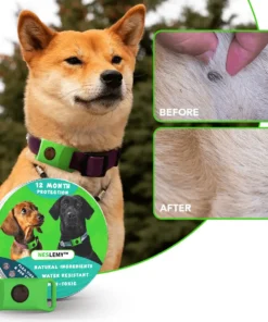 NESLEMY™ 12Month Natural Flea Tick Protection Pendant