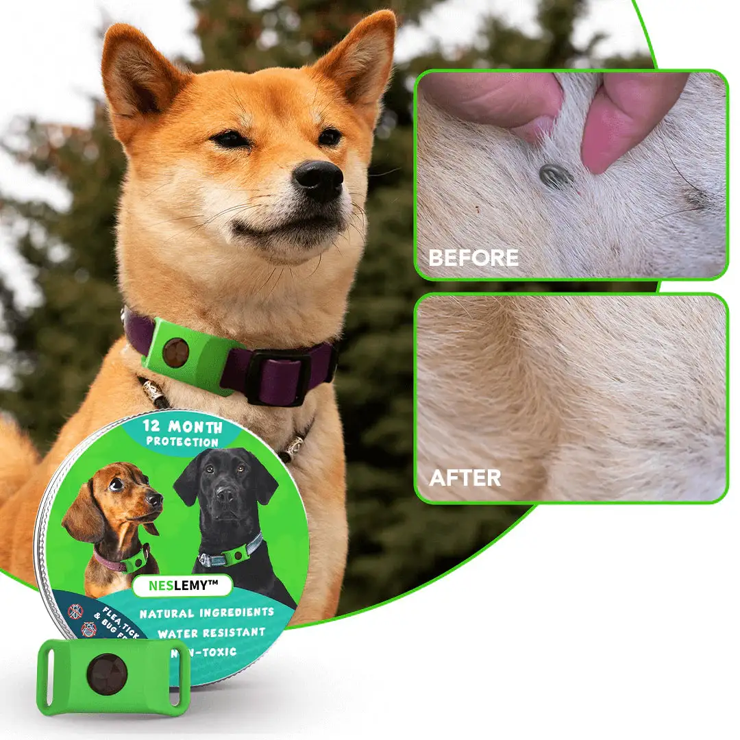 NESLEMY™ 12Month Natural Flea Tick Protection Pendant