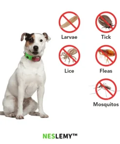 NESLEMY™ 12Month Natural Flea Tick Protection Pendant