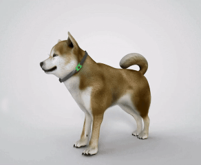 NESLEMY™ 12Month Natural Flea Tick Protection Pendant